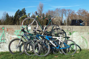 Specialized + Author + GT Tempest + Fixi a tetejĂŠn